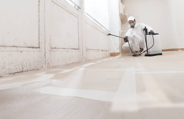 24/7 Emergency Attic Mold Removal experts in Naples, TX