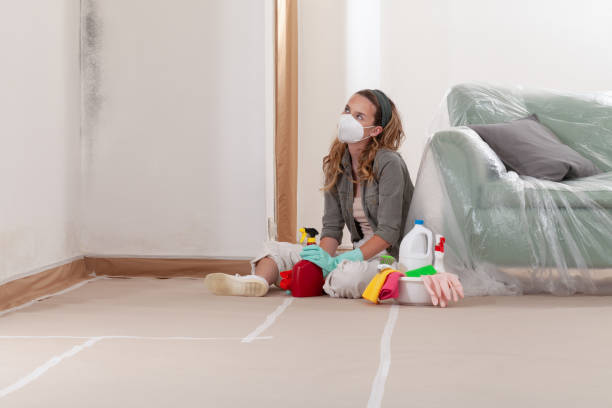 Reliable Attic Mold Removal contractor in Naples, TX by WQB Mold Removal